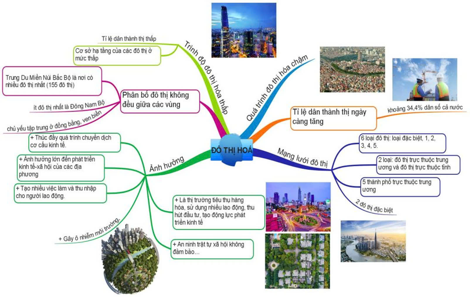 Sơ đồ tư duy Địa lý 12 bài 8: Đô thị hóa (ảnh 2)