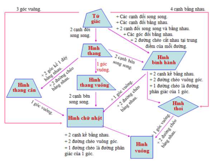 Sơ đồ tư duy Toán 8 chương 3: Tứ giác