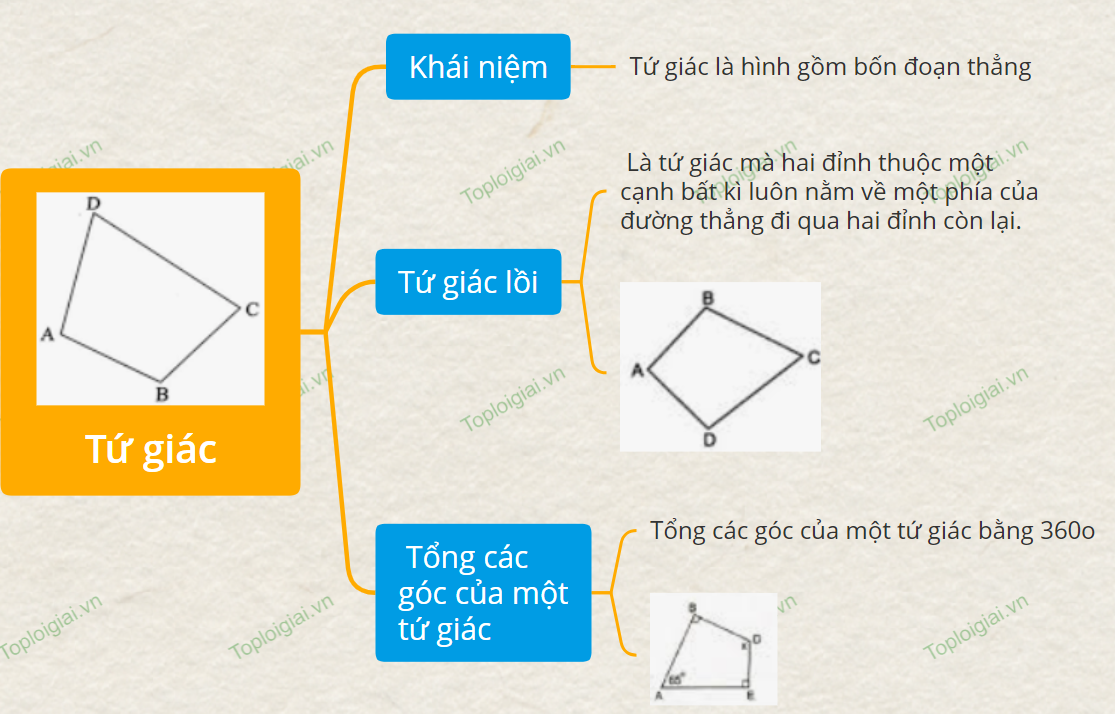 Sơ đồ tư duy Toán 8 chương 3: Tứ giác