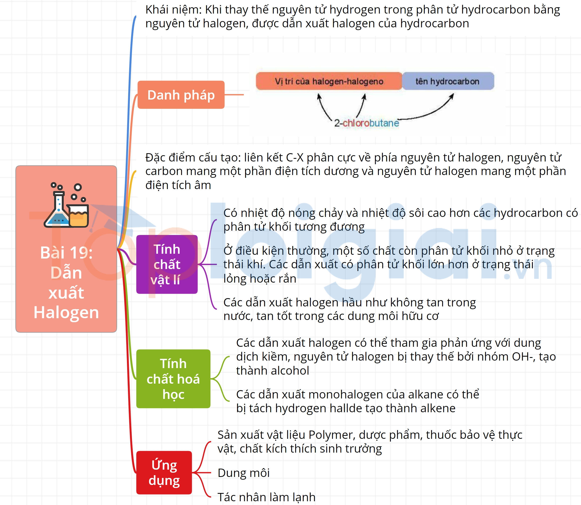 Sơ đồ tư duy Hoá học 11 Kết nối tri thức Bài 19: Dẫn xuất Halogen