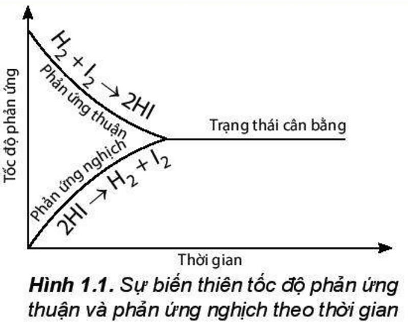 Một số hình ảnh nổi bật về cân bằng hoá học