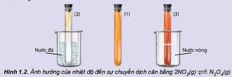 Một số hình ảnh nổi bật về cân bằng hoá học