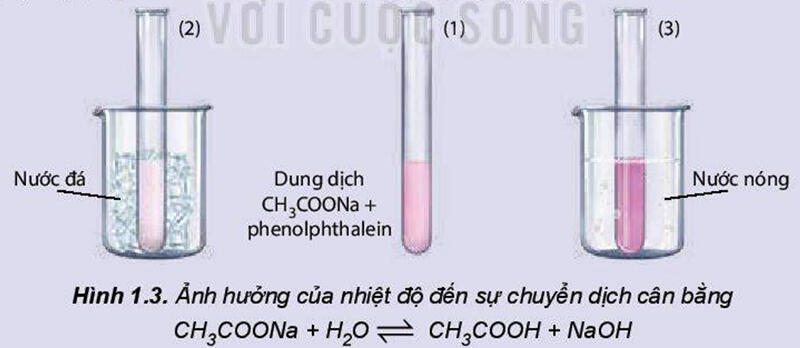 Một số hình ảnh nổi bật về cân bằng hoá học