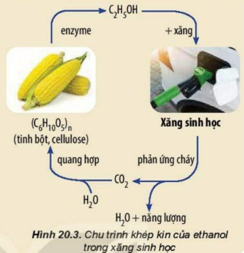 Một số hình ảnh nổi bật về Alcohol