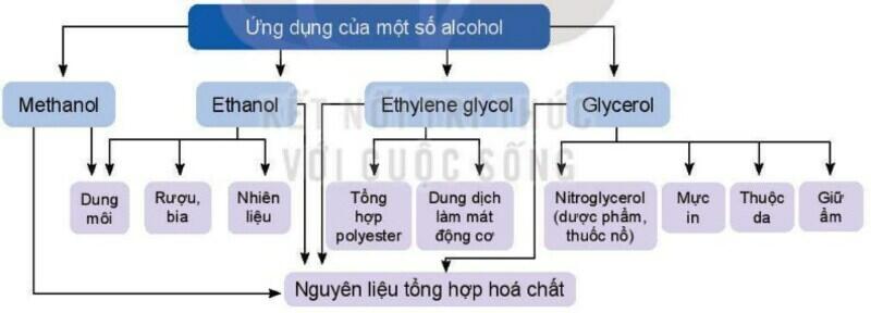 Một số hình ảnh nổi bật về Alcohol