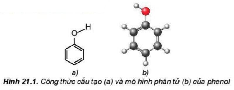 Một số hình ảnh nổi bật về Phenol