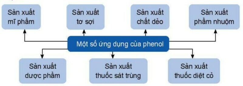 Một số hình ảnh nổi bật về Phenol