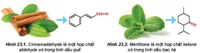 Một số hình ảnh nổi bật về hợp chất Carbonyl