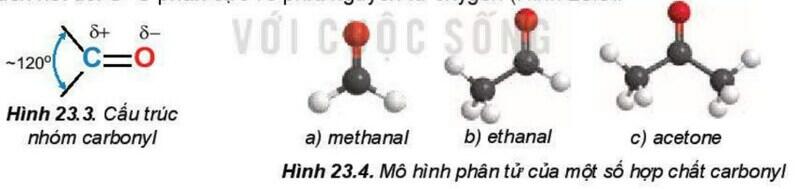 Một số hình ảnh nổi bật về hợp chất Carbonyl