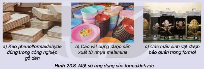 Một số hình ảnh nổi bật về hợp chất Carbonyl