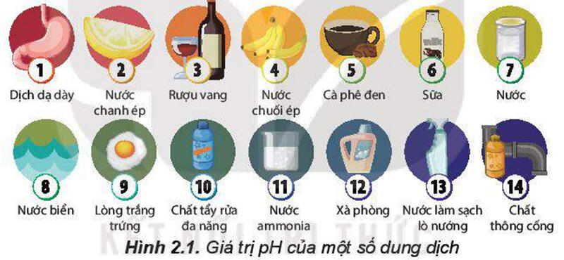 Một số hình ảnh nổi bật về cân bằng trong dung dịch nước
