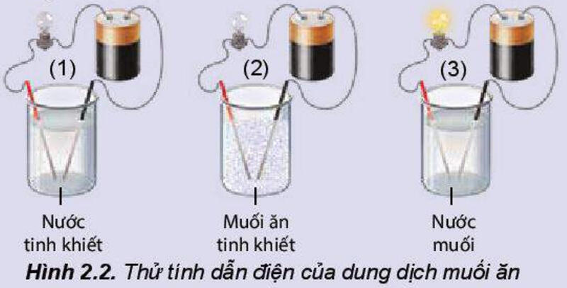 Một số hình ảnh nổi bật về cân bằng trong dung dịch nước