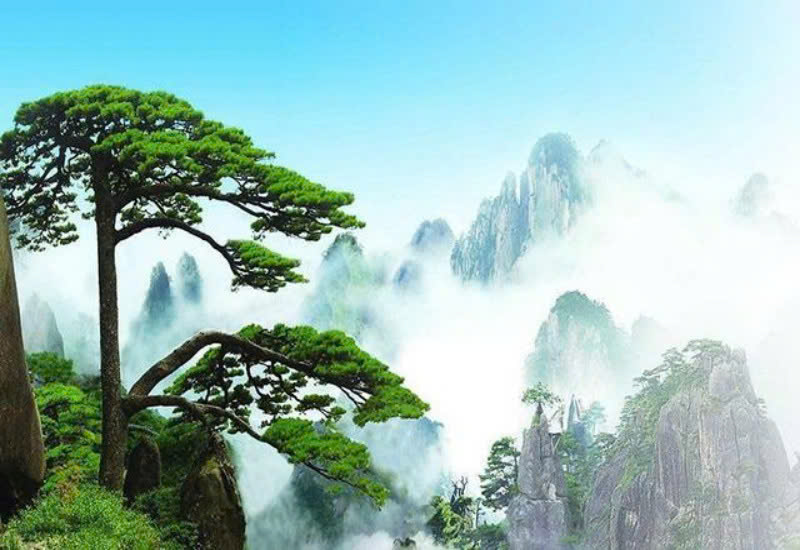 Sơ đồ tư duy KHTN 9 KNTT Bài 17: Một số dạng năng lượng tái tạo (ảnh 2)