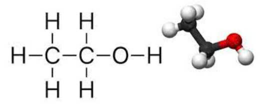 Sơ đồ tư duy KHTN 9 KNTT Bài 26: Ethylic alcohol (ảnh 2)