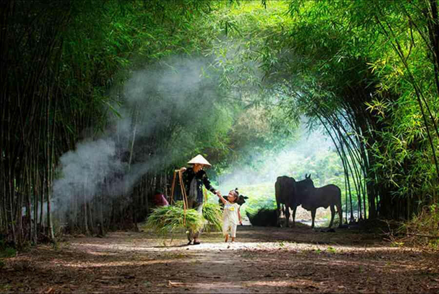 Lịch sử 11 Kết nối tri thức Bài 9: Hình ảnh về các làng, xã Việt Nam