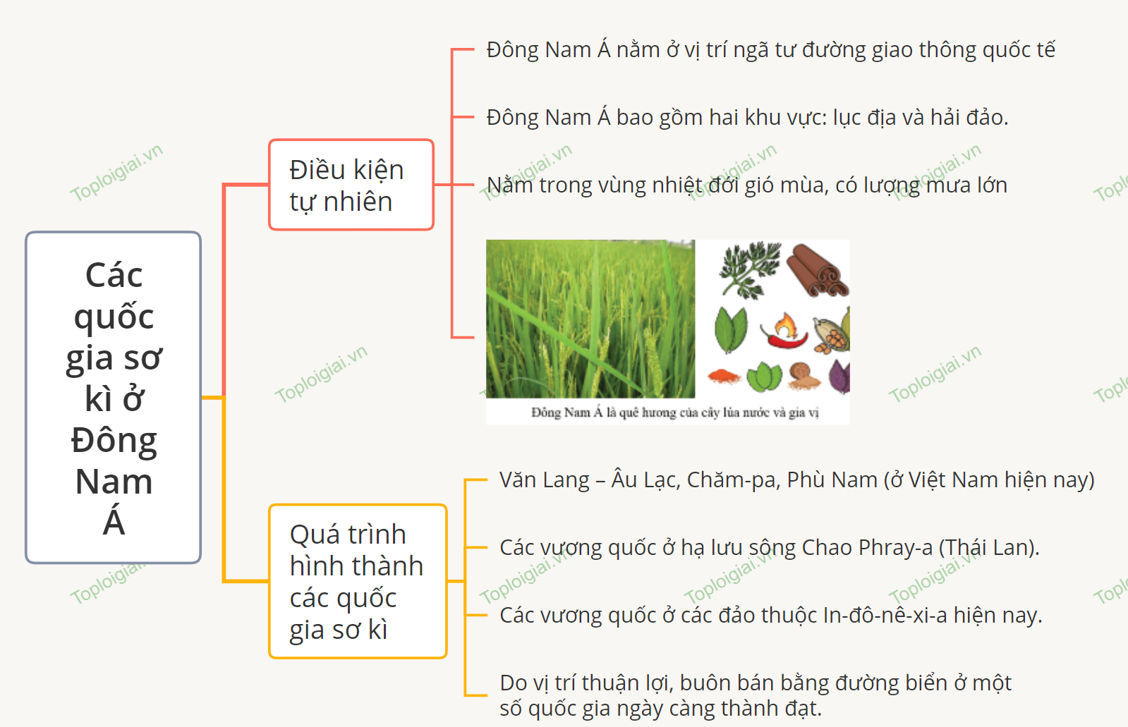 Sơ đồ tư duy Lịch sử 6 Bài 11: Các vương quốc ở Đông Nam Á trước thế kỷ X 