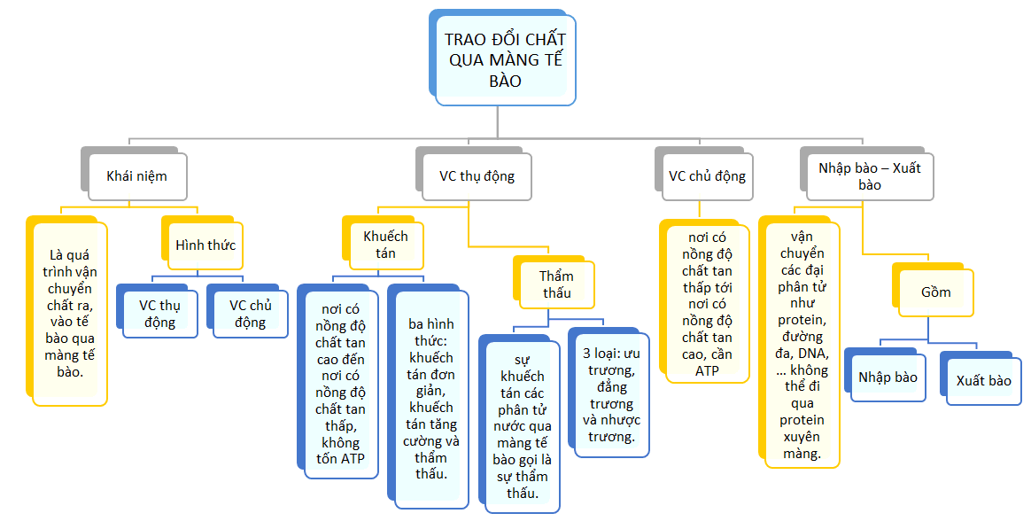 Sơ đồ tư duy Sinh 10 Bài 11: Vận chuyển các chất qua màng tế bào 