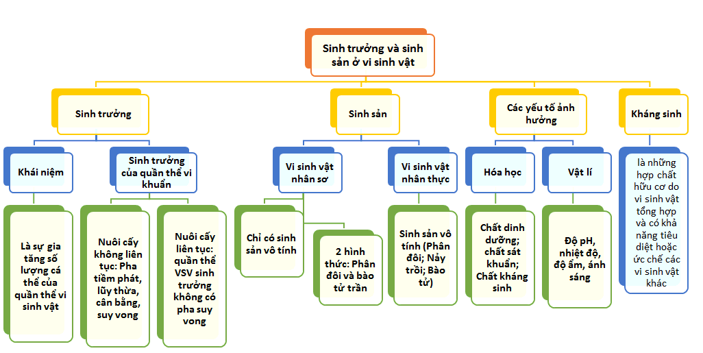 Sơ đồ tư duy Sinh 10 Bài 25: Sinh trưởng và sinh sản ở vi sinh vật