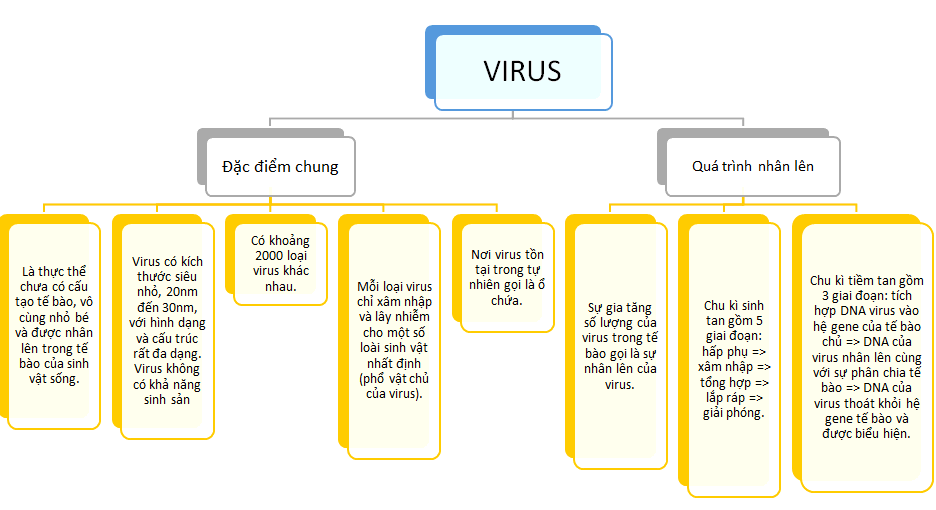 Sơ đồ tư duy Sinh 10 Bài 29: Virus 