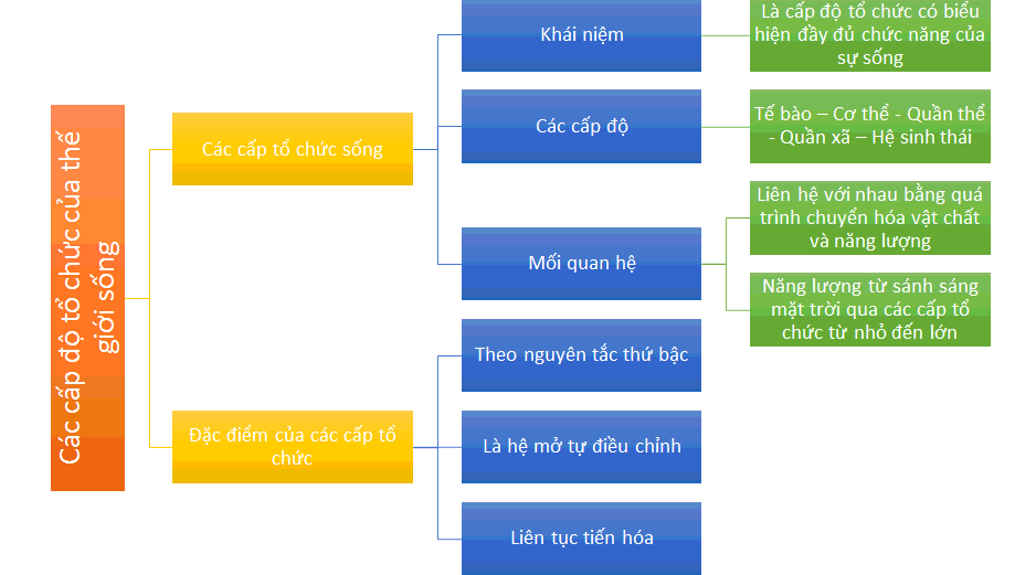 Sơ đồ tư duy Sinh 10 Bài 3: Các cấp độ tổ chức của thế giới sống