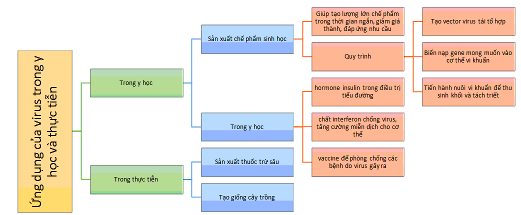 Sơ đồ tư duy Sinh 10 Bài 30: Ứng dụng của virus trong y học và thực tiễn