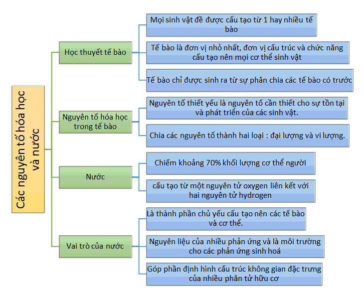 Sơ đồ tư duy Sinh 10 Bài 5: Các nguyên tố hóa học và nước