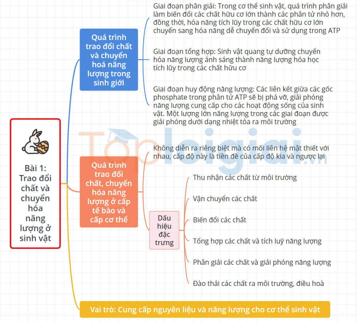 Sơ đồ tư duy Sinh học 11 Cánh Diều Bài 1: Trao đổi chất và chuyển hóa năng lượng ở sinh vật