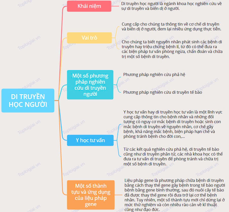 Sơ đồ tư duy Sinh học 12 Bài 14: Di truyền học người