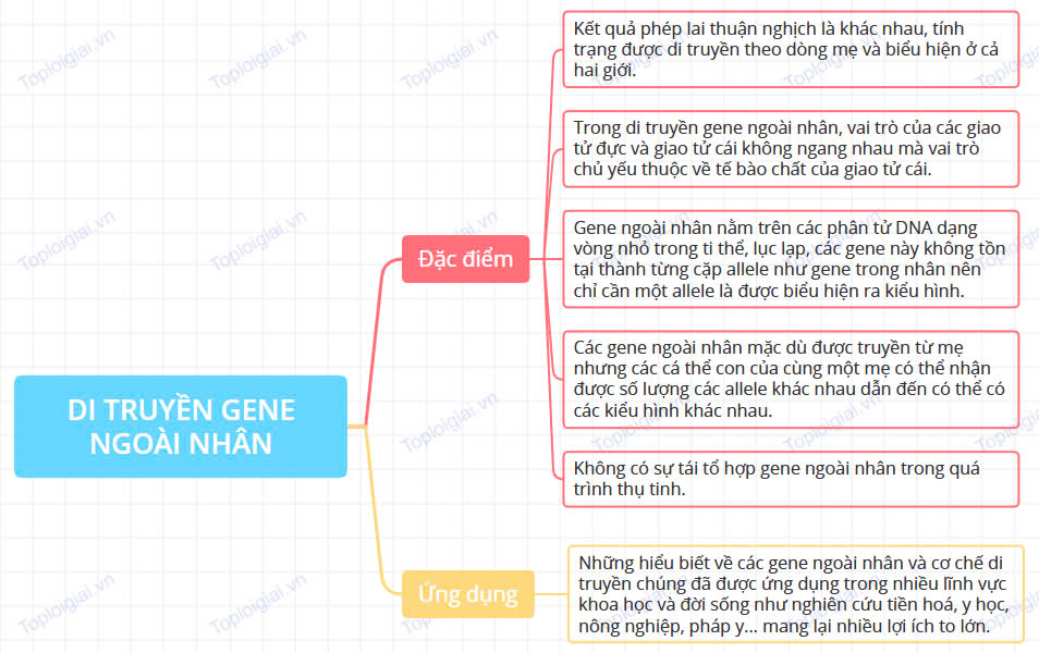 Sơ đồ tư duy Sinh học 12 Bài 9: Di truyền gene ngoài nhân