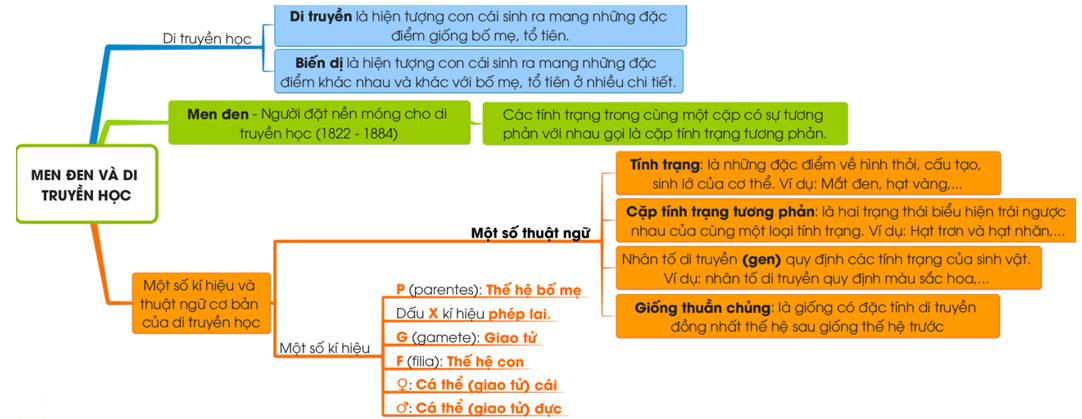 Sơ đồ tư duy Sinh học 9 Bài 1 (Lý thuyết + Trắc nghiệm)