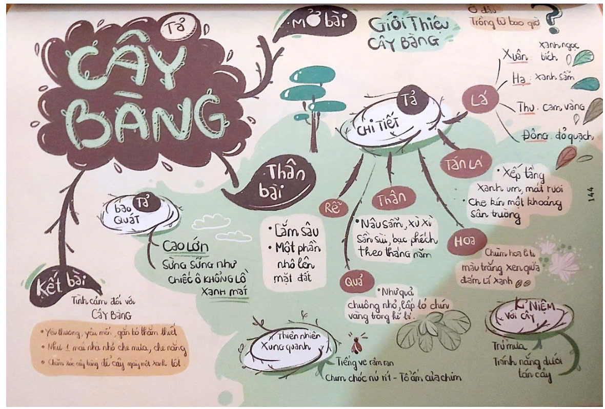 Sơ đồ tư duy tả cây bàng