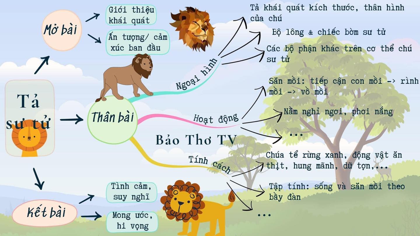 Sơ đồ tư duy tả con Sư tử