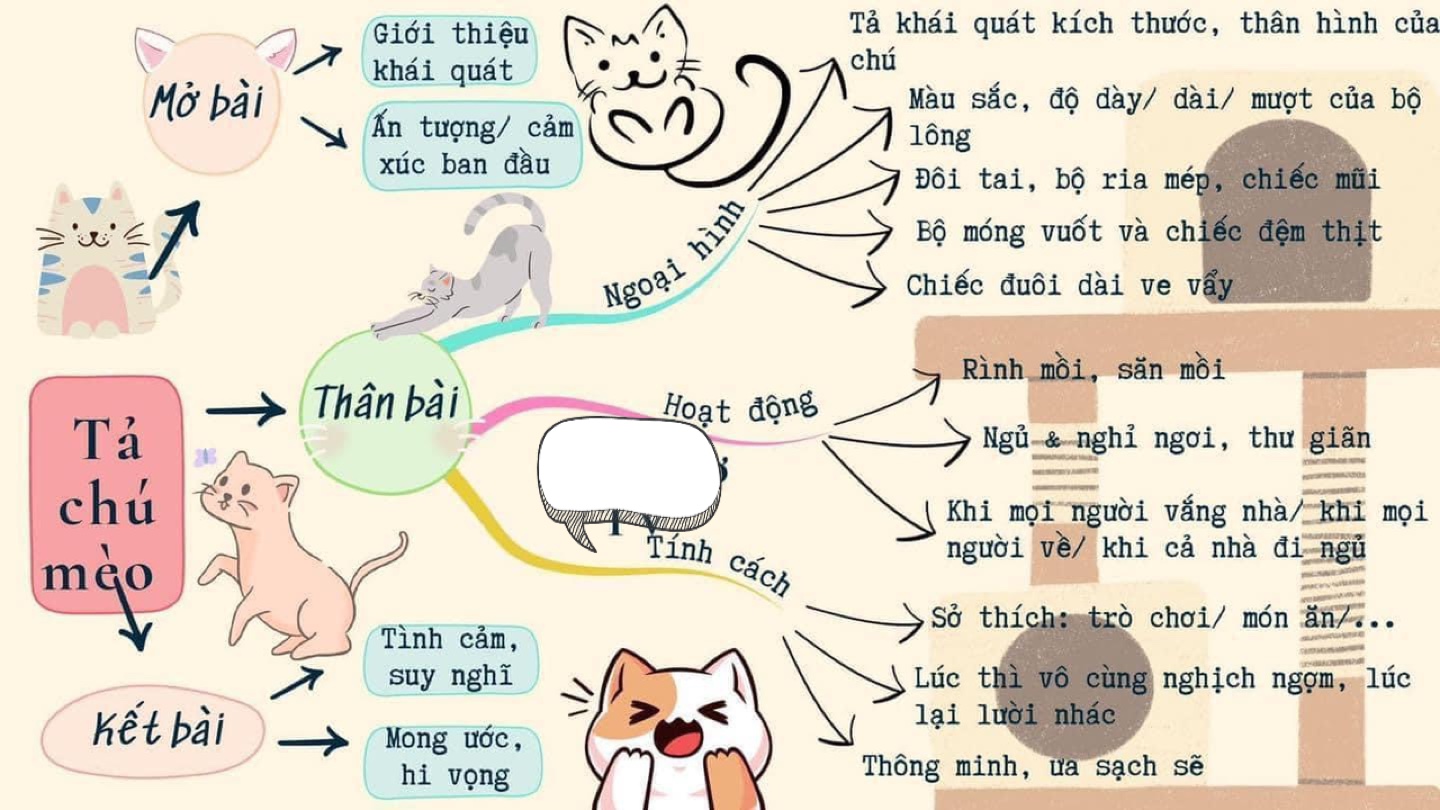 Sơ đồ tư duy tả con Mèo
