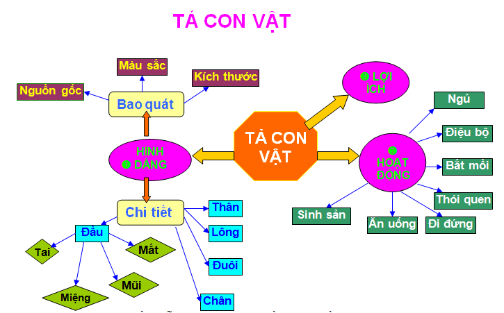 Sơ đồ tư duy tả con vật (dàn ý)
