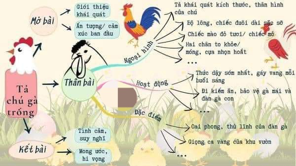Sơ đồ tư duy tả con gà trống