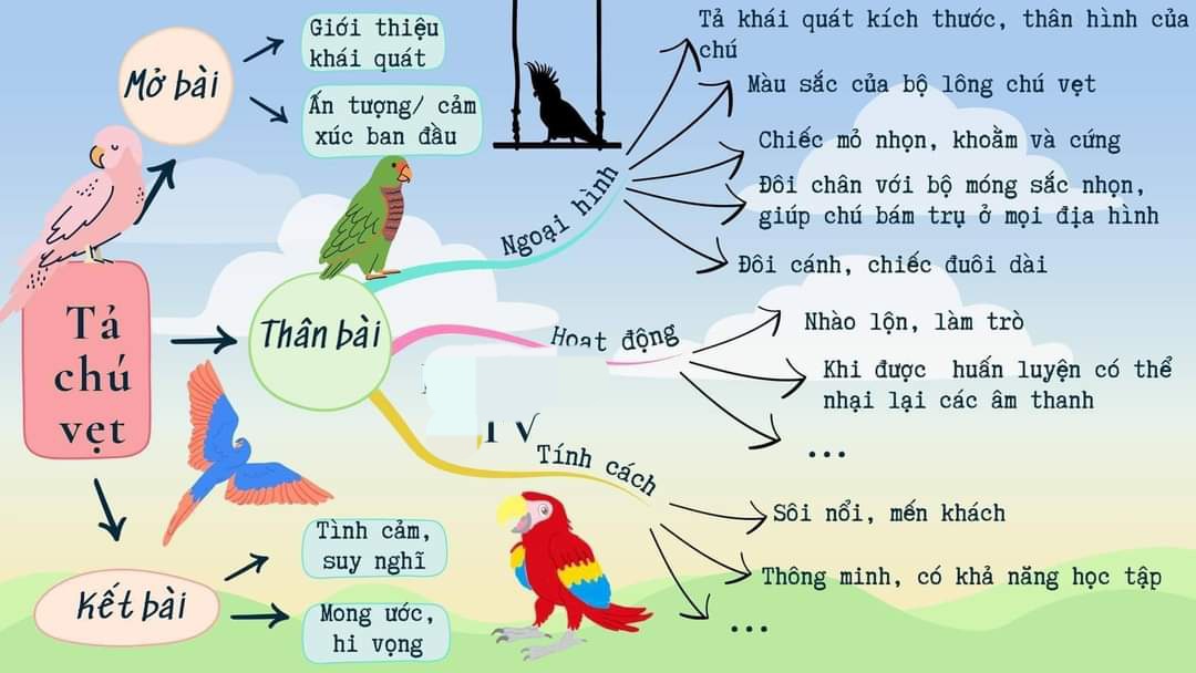 Sơ đồ tư duy tả con vẹt