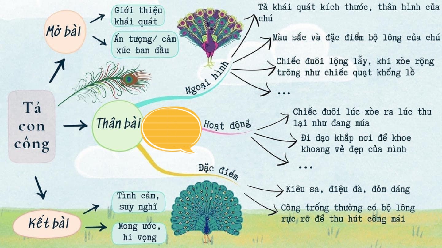 Sơ đồ tư duy tả con chim công