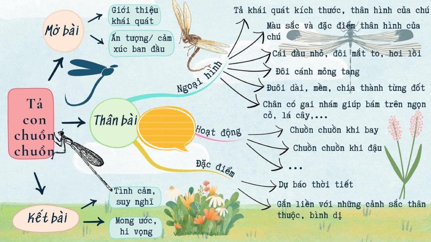 Sơ đồ tư duy tả con chuồn chuồn