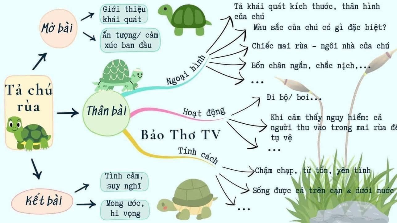 sơ đồ tư duy tả con rùa
