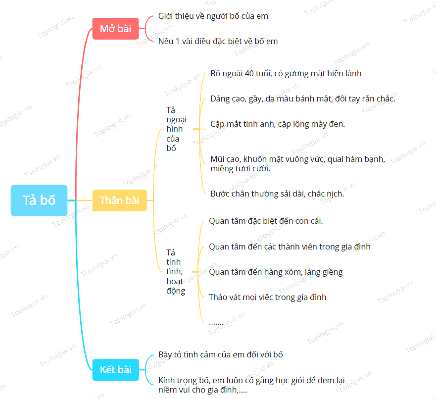 Sơ đồ tư duy tả bố