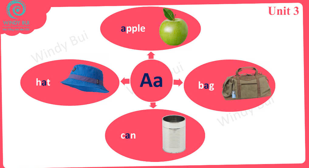 Sơ đồ tư duy Tiếng anh lớp 1 Global Success (ảnh 5)