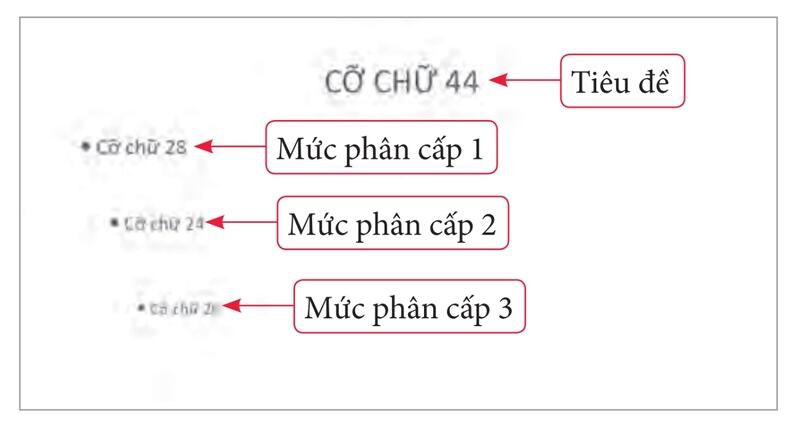 Một số hình ảnh nổi bật về trình bày trang chiếu