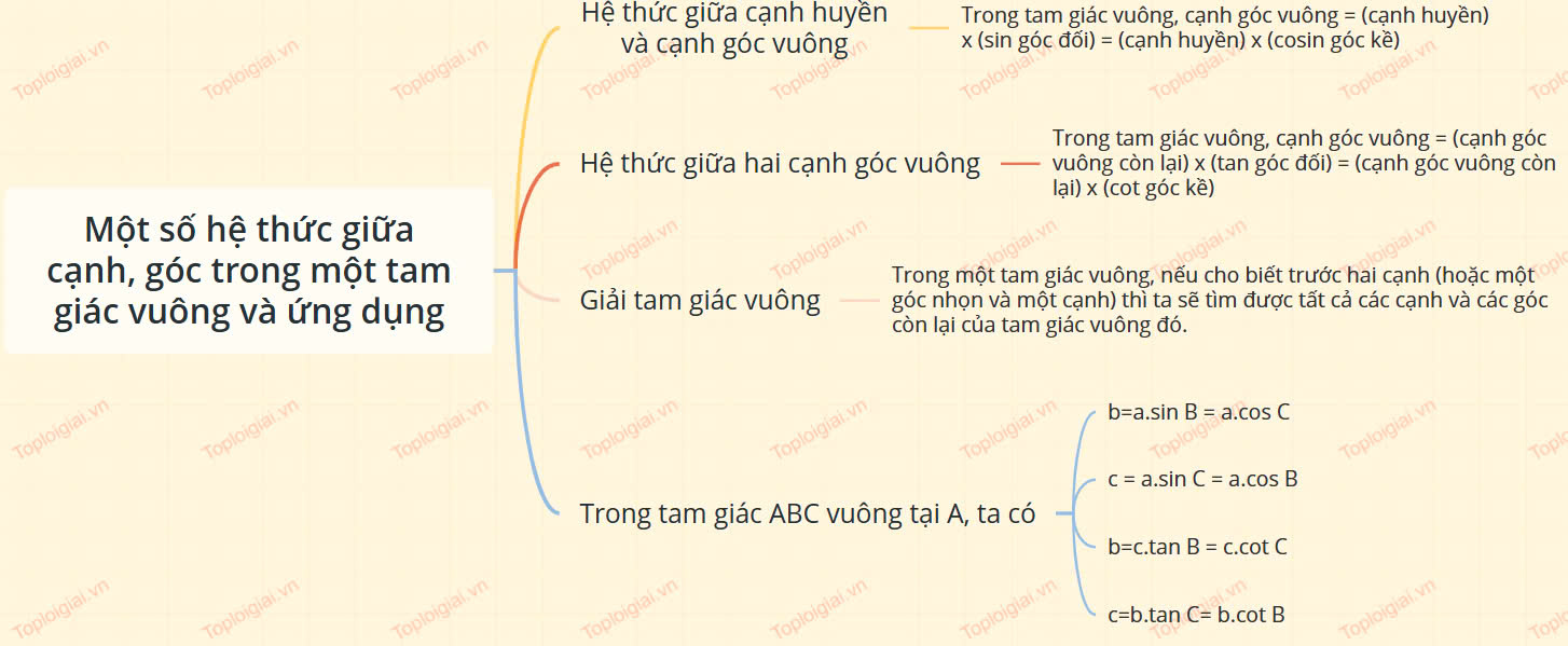 Sơ đồ tư duy Toán 9 KNTT chương IV: Hệ thức lượng trong tam giác vuông (ảnh 2)