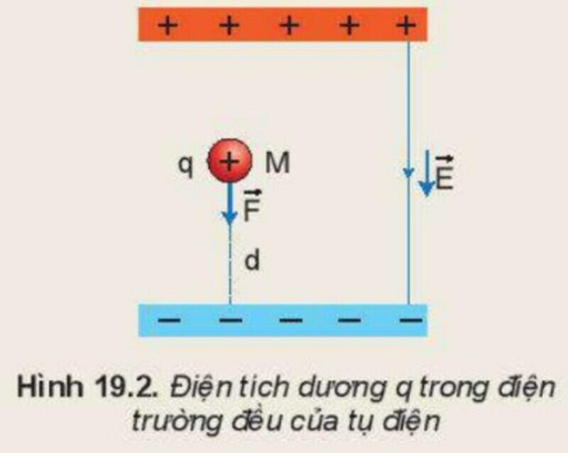 Một số hình ảnh nổi bật về thế năng điện