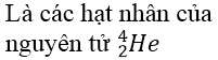 Sơ đồ tư duy Vật lý 12 Chương 7: Hạt nhân nguyên tử hay nhất (ảnh 5)