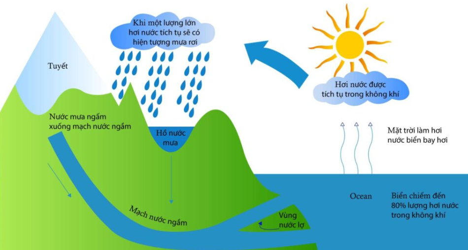 5 mẫu Sơ đồ vòng tuần hoàn nước chi tiết và sinh động