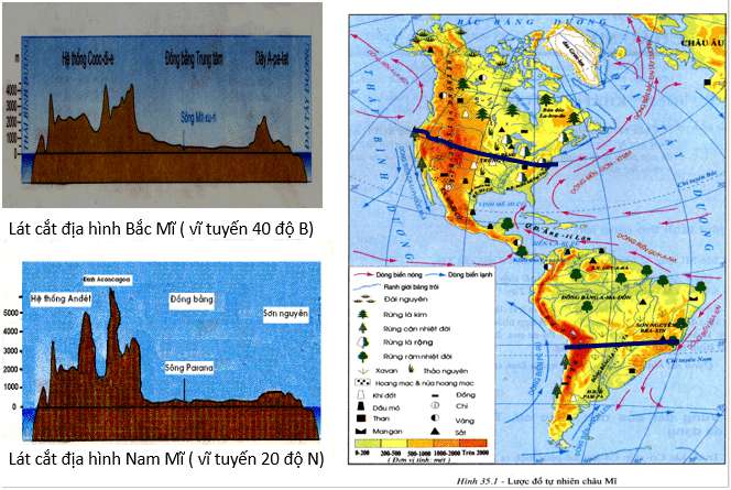 So sánh đặc điểm địa hình Nam Mĩ với đặc điểm địa hình Bắc Mĩ 