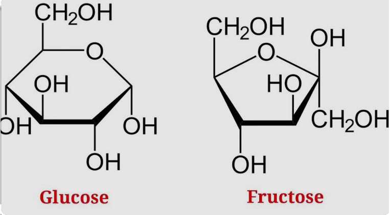 [CHUẨN NHẤT] So sánh glucozo và fructozo