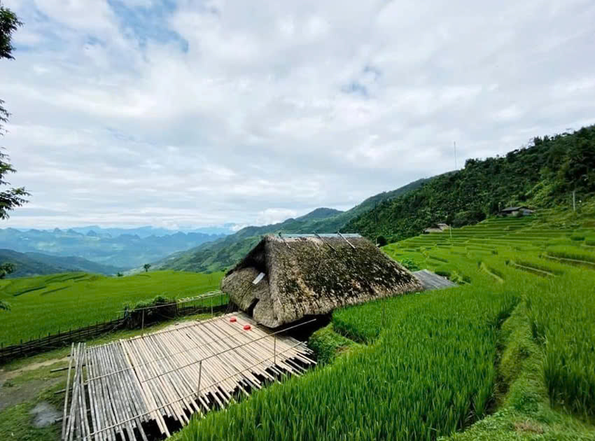 So sánh nội dung và nghệ thuật của hai đoạn thơ bài Tương tư và Việt Bắc