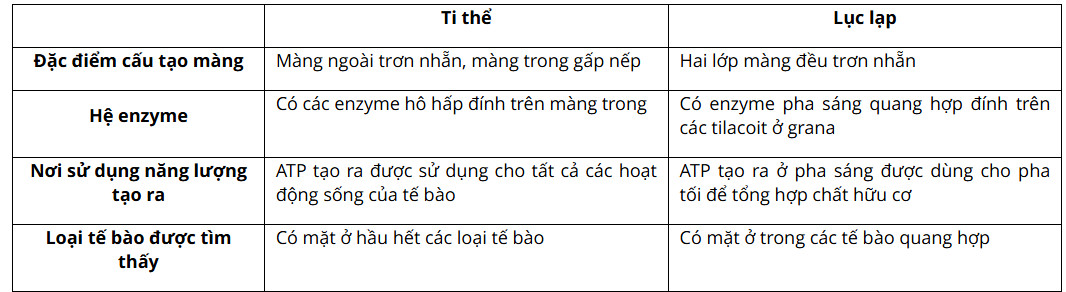 So sánh ti thể và lục lạp